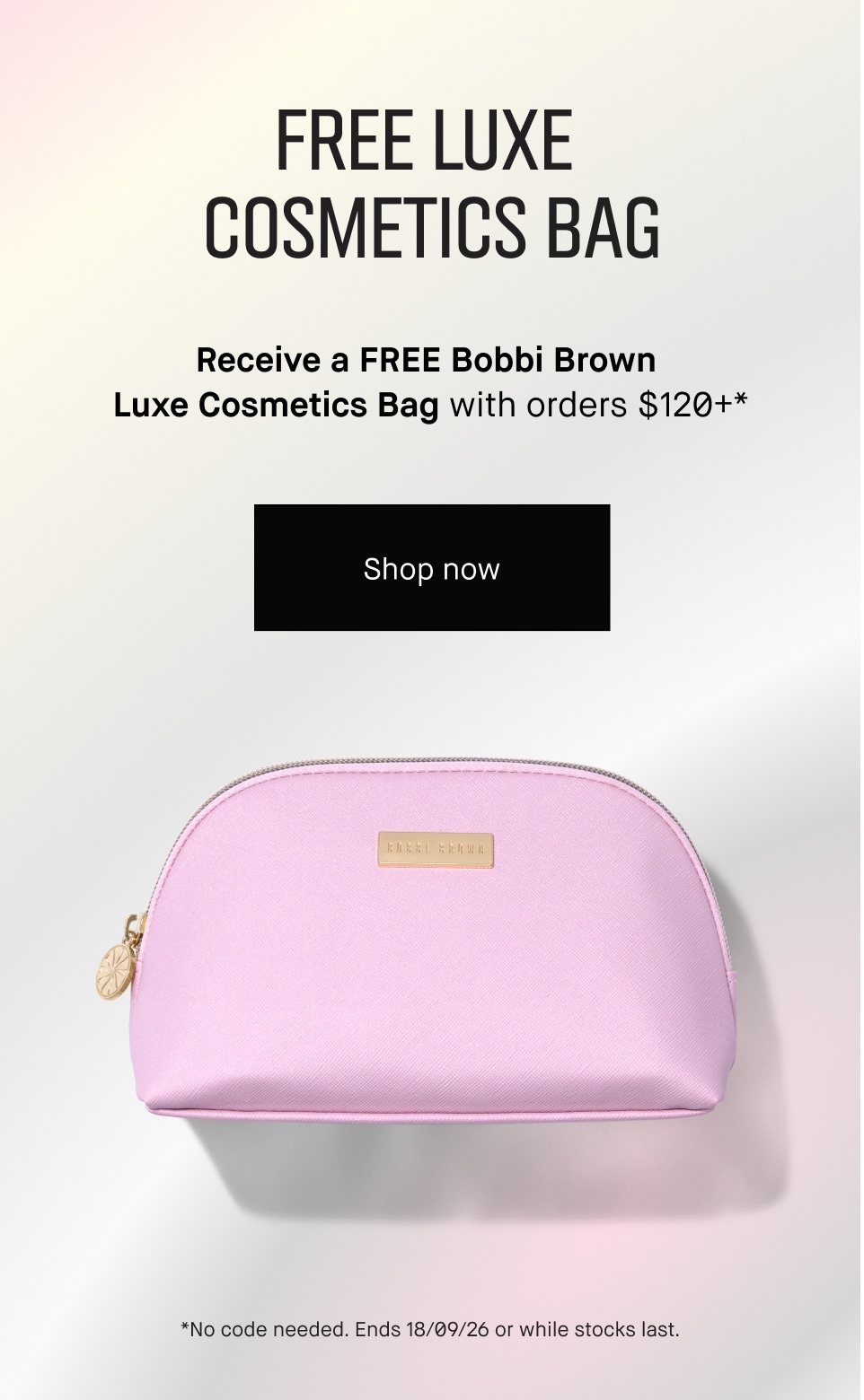 Free Luxe Cosmetics Bag