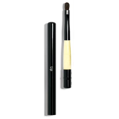Retractable Lip Brush