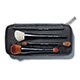 Pro Brush Set