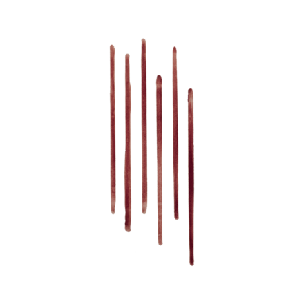 Lip Tint Liner